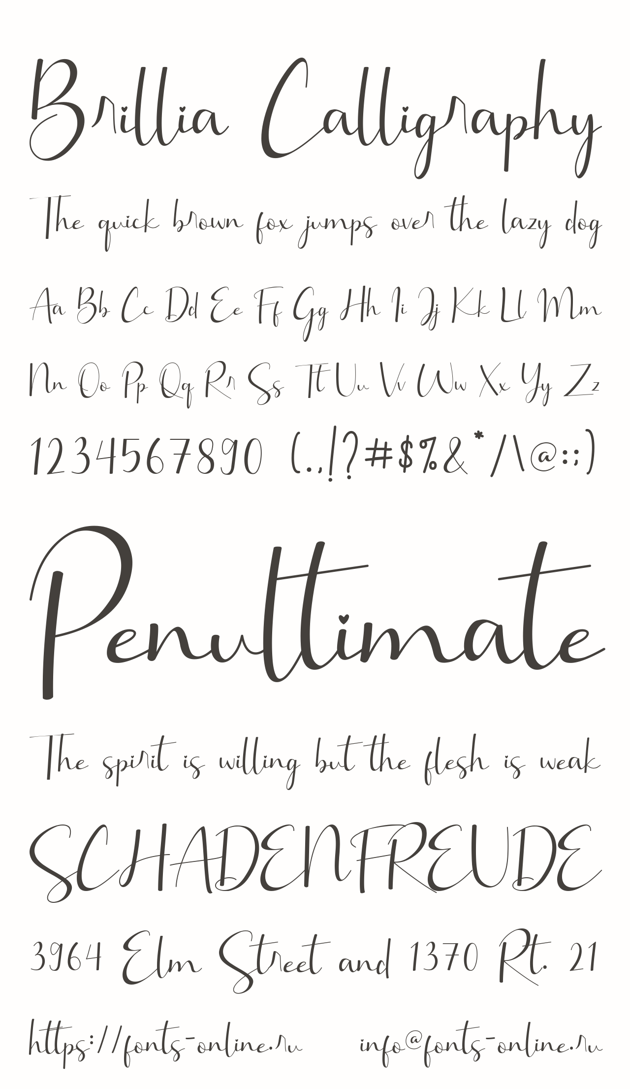 Brillia Calligraphy Free Font Download